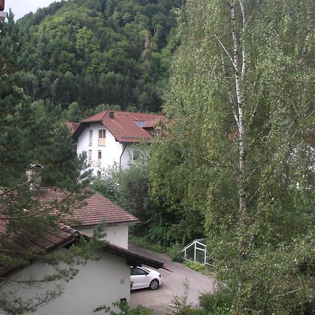 Appartemant Steineberg Lejlighed Immenstadt im Allgäu Eksteriør billede