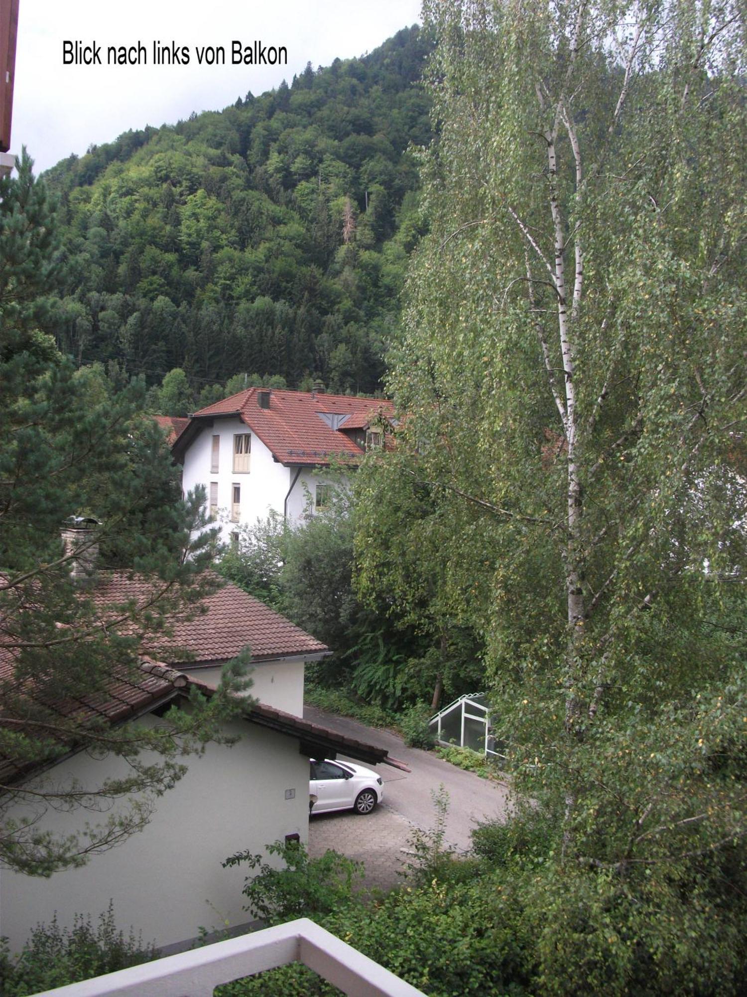Appartemant Steineberg Immenstadt im Allgäu Eksteriør billede